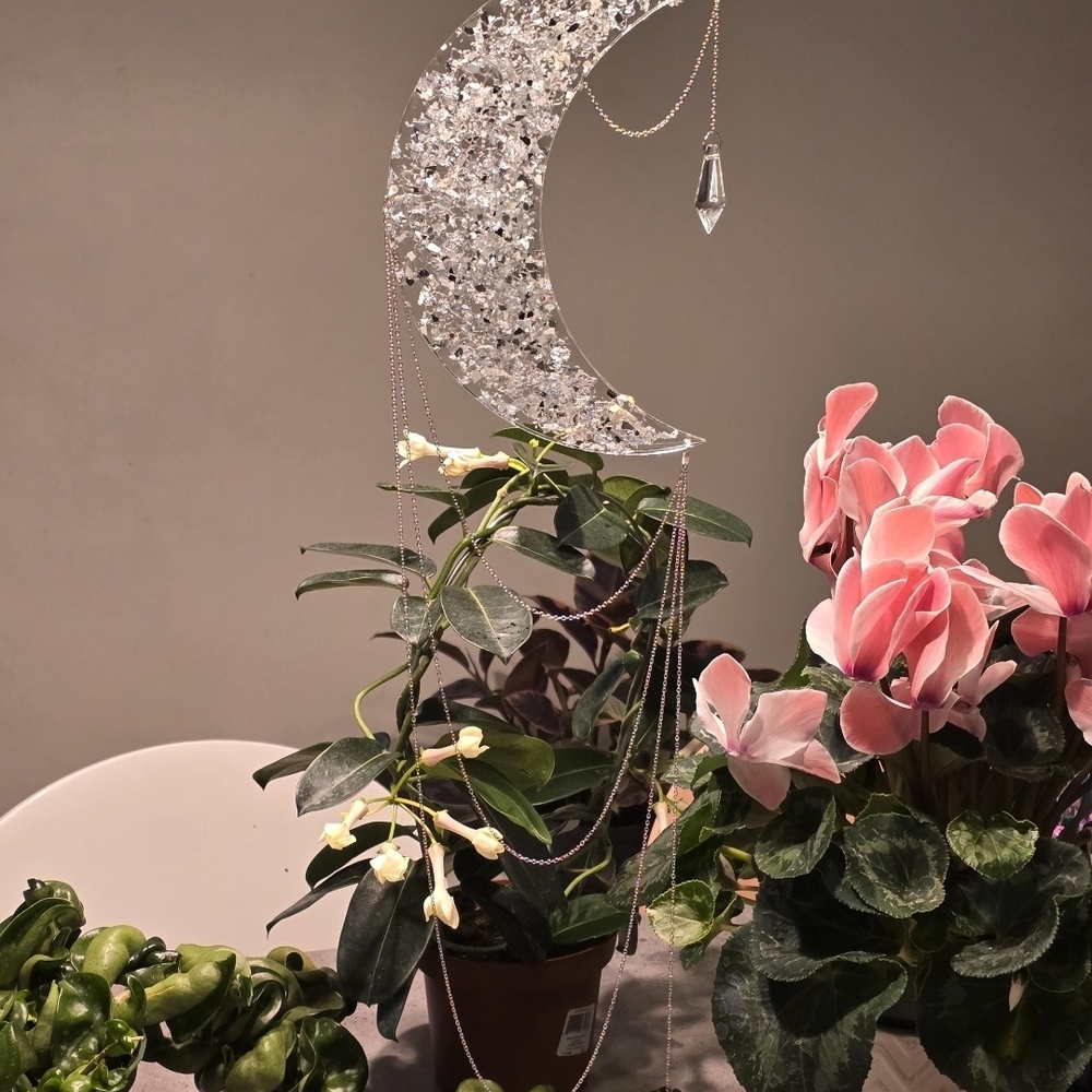 Crystal Moon Hanging Decor
